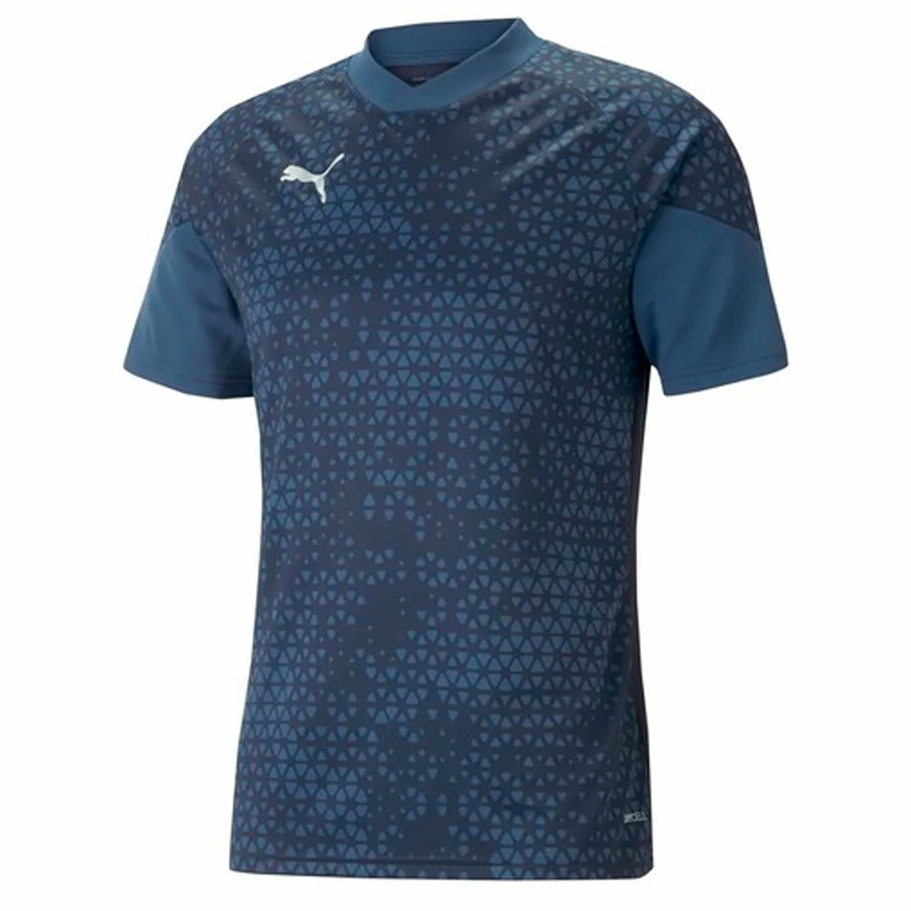 Puma teamCUP Training Jersey