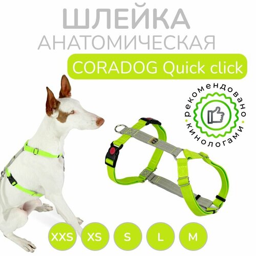 Шлейка для собак прогулочная анатомическая, CORADOG Quick click, размер L, цвет салатовый, серый