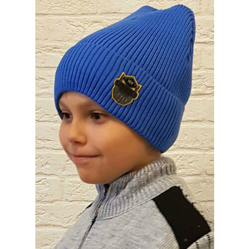 фото Шапка бини шапка мальчику для на мальчика девочки демисезонная детская подростковая двухслойная с отворотом бини трикотажная теплая тонкая вязаная весенняя осенняя зимняя утепленная на подкладке на флисе непродуваемая на осень весна весну зима зиму, размер 50/54, голубой bgt