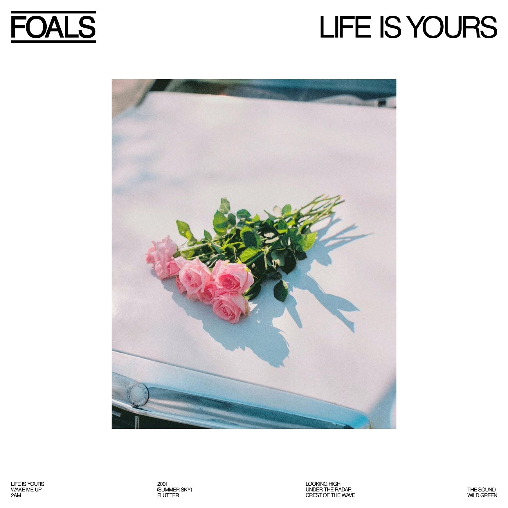 FOALS FOALS - Life Is Yours Мистерия звука - фото №15