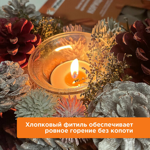 Свечи чайные в гильзе, литые, аромат корицы, 10 шт. в уп, PATERRA (401-290) светлый, коричневый