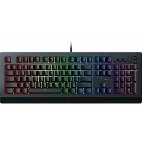 Клавиатура Razer Cynosa V2, USB, черный [rz03-03400700-r3r1] игровая клавиатура razer cynosa lite rz03 02741500 r3r1