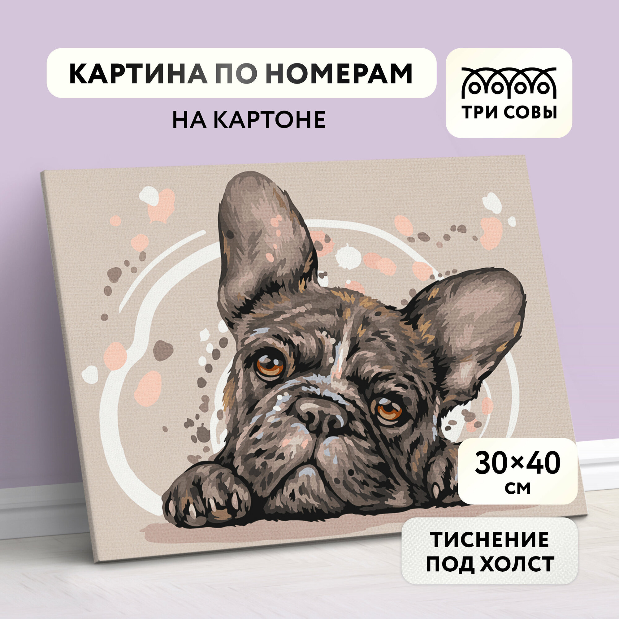 Картина по номерам 30*40 / ТРИ СОВЫ "Французский бульдог" / раскраска для детей и для взрослых
