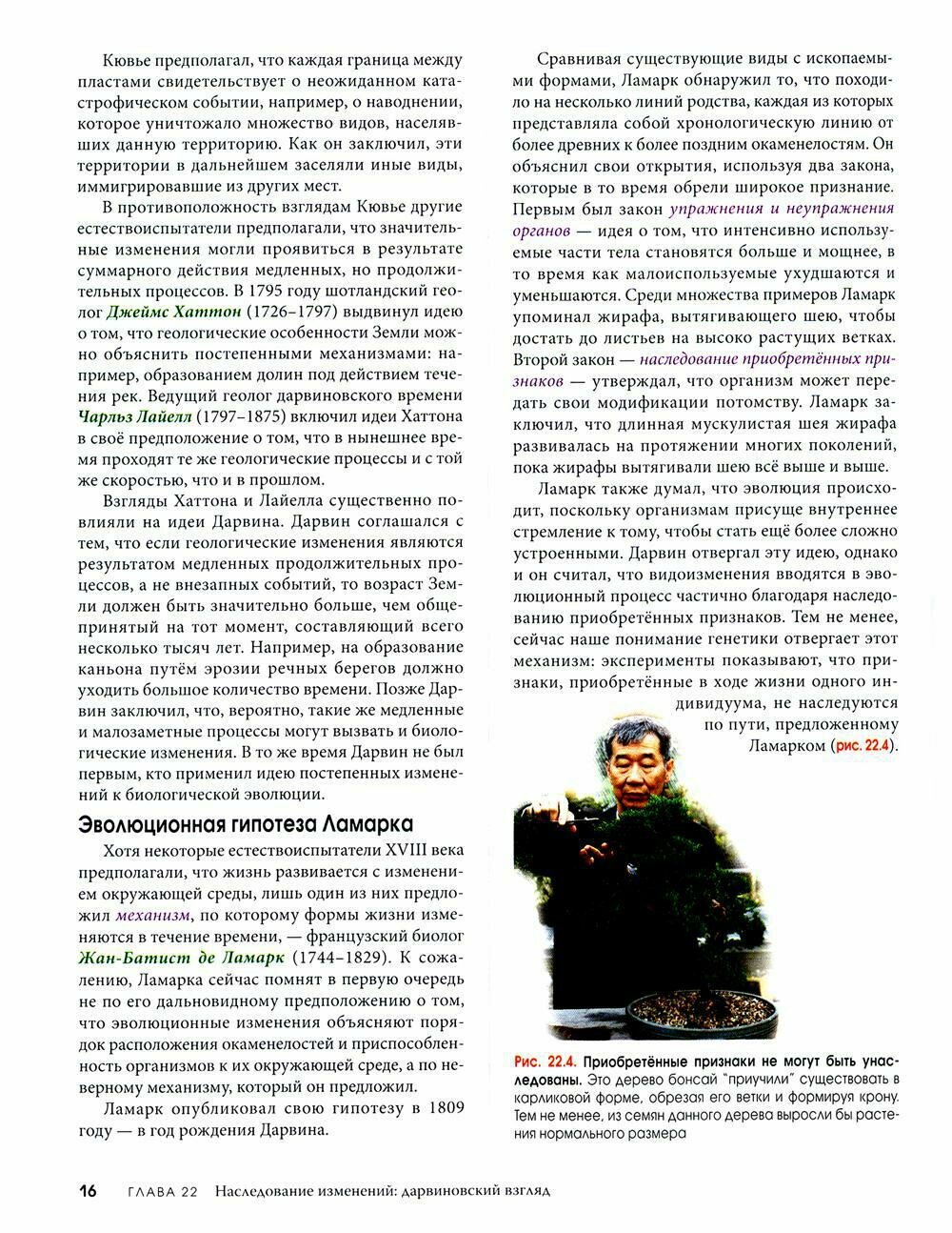 Биология Campbell, том 2. Механизмы эволюции. Эволюция и биоразнообразие. Растительные формы жизни - фото №12