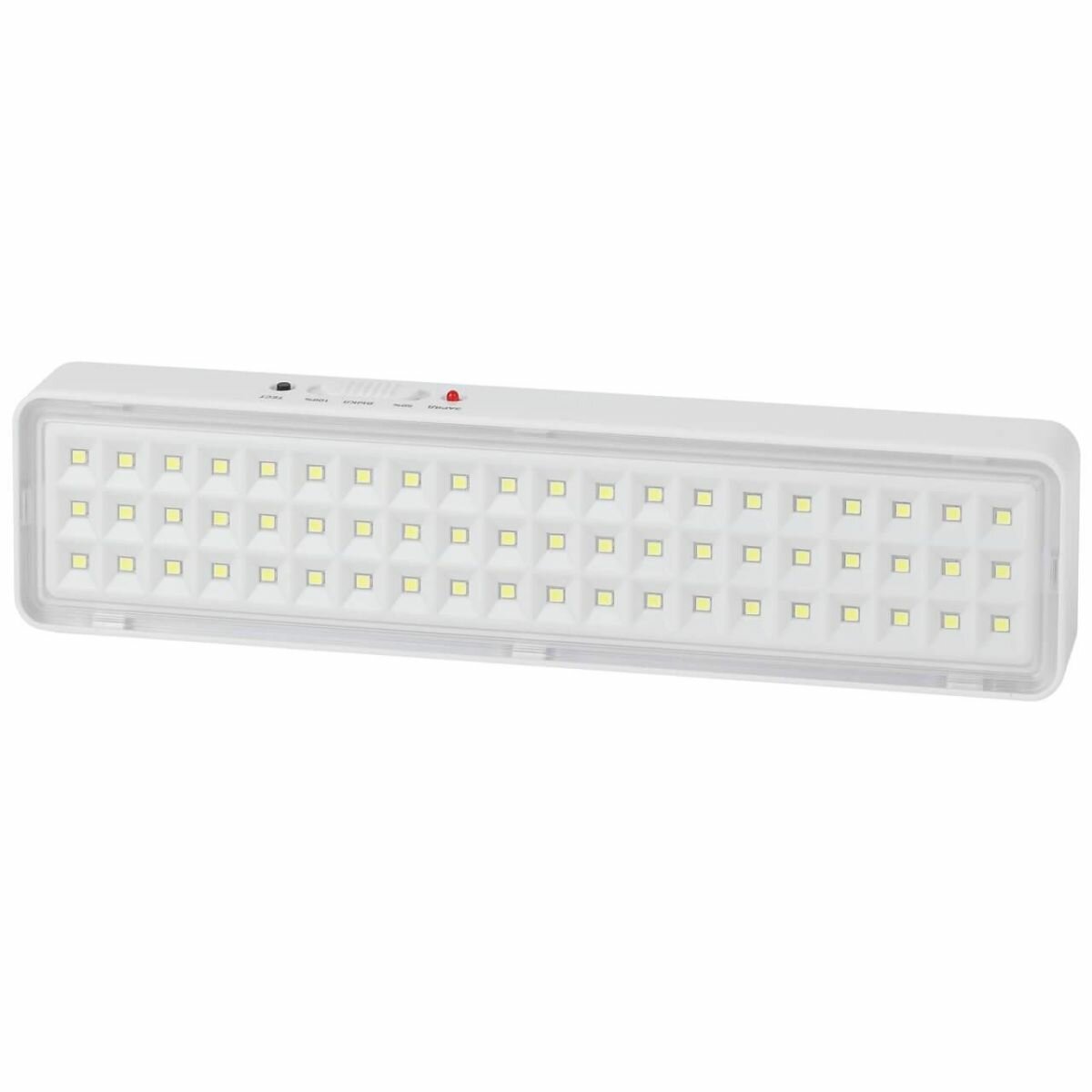 Светильник светодиодный DBA-103-0-20 60LED 5ч IP20 аварийный непостоянный Эра Б0044396