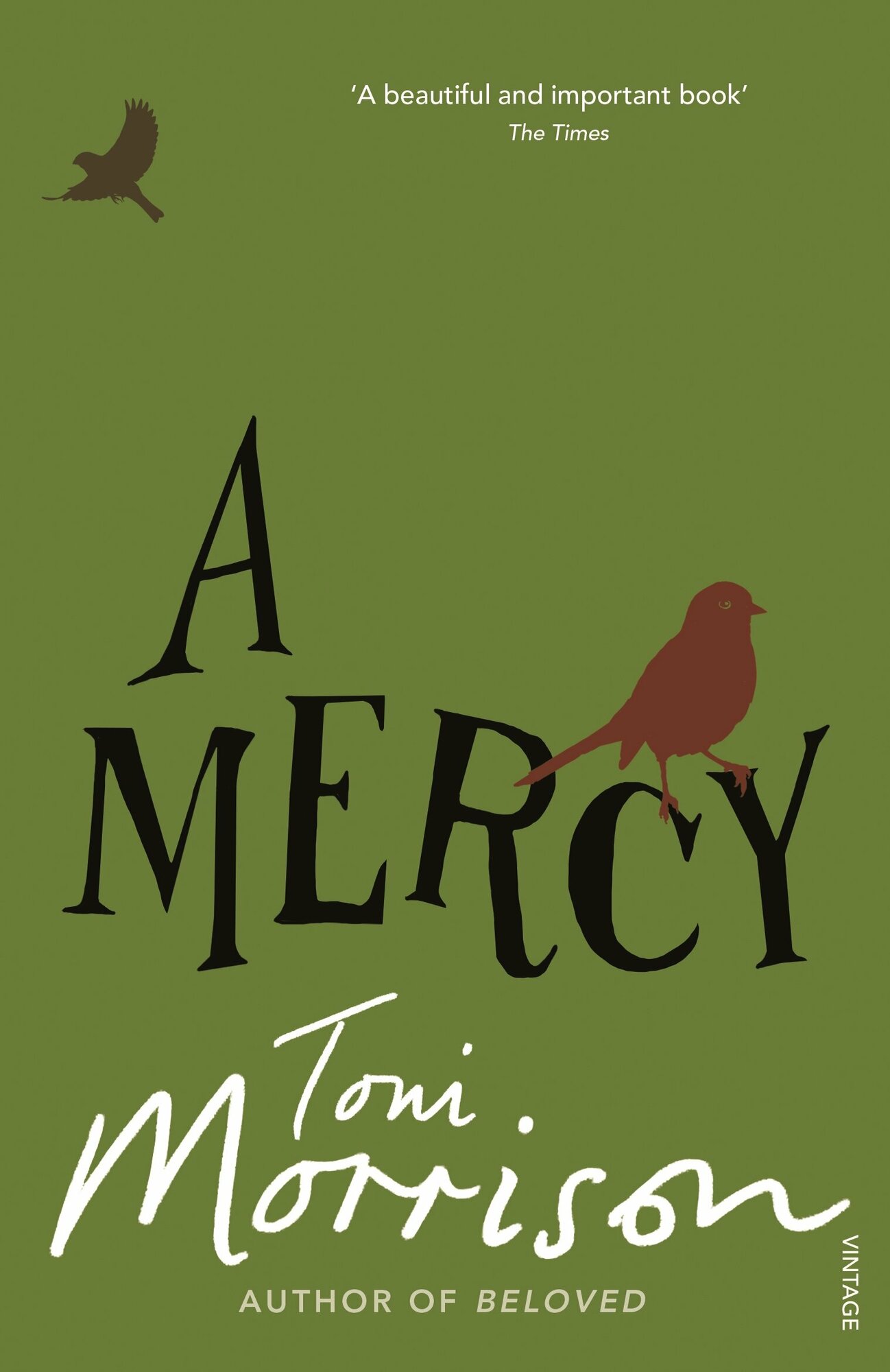A Mercy / Книга на Английском (Morrison Toni) - фото №1
