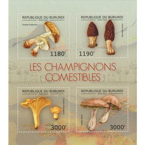 почтовые марки мали 2020г ядовитые грибы грибы флора mnh Почтовые марки Бурунди 2012г. Флора - Грибы Грибы, Флора MNH