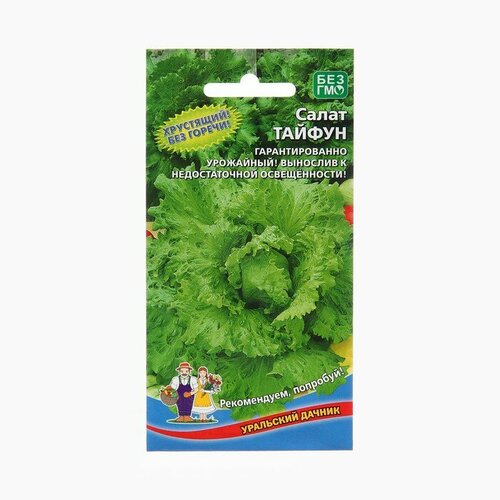 Семена Салат Тайфун, 0,25 г (1шт.) семена салат листовой тайфун 4г 2 шт