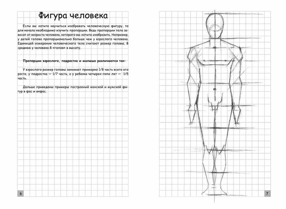 Творческий курс по рисованию. Анатомия человека - фото №15