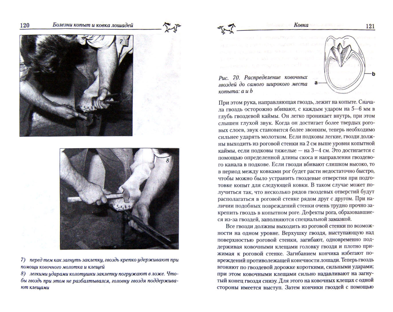 Болезни копыт и ковка лошадей. Настольная книга для вет. врачей, кузнецов-ковалей и владельцев - фото №4