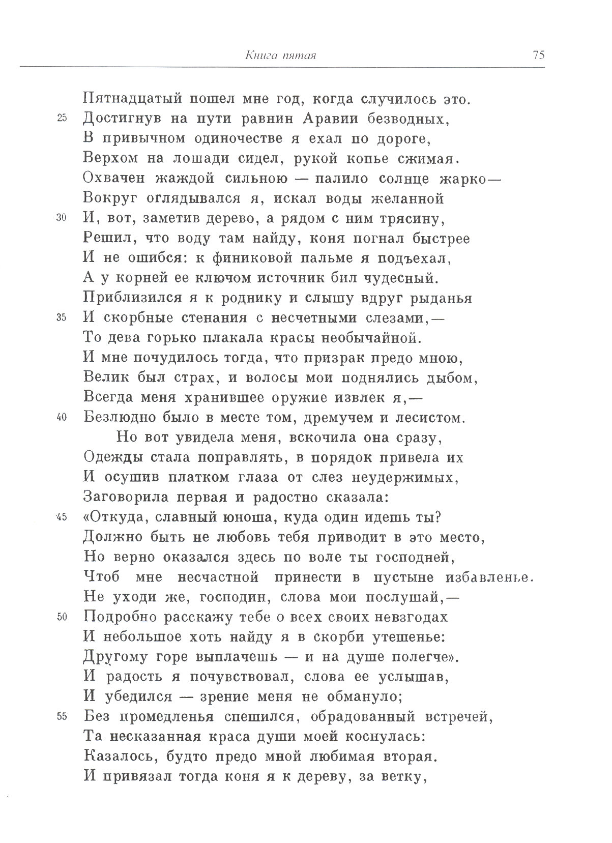 Византийская эпическая поэма (Дигенис Акрит) - фото №3