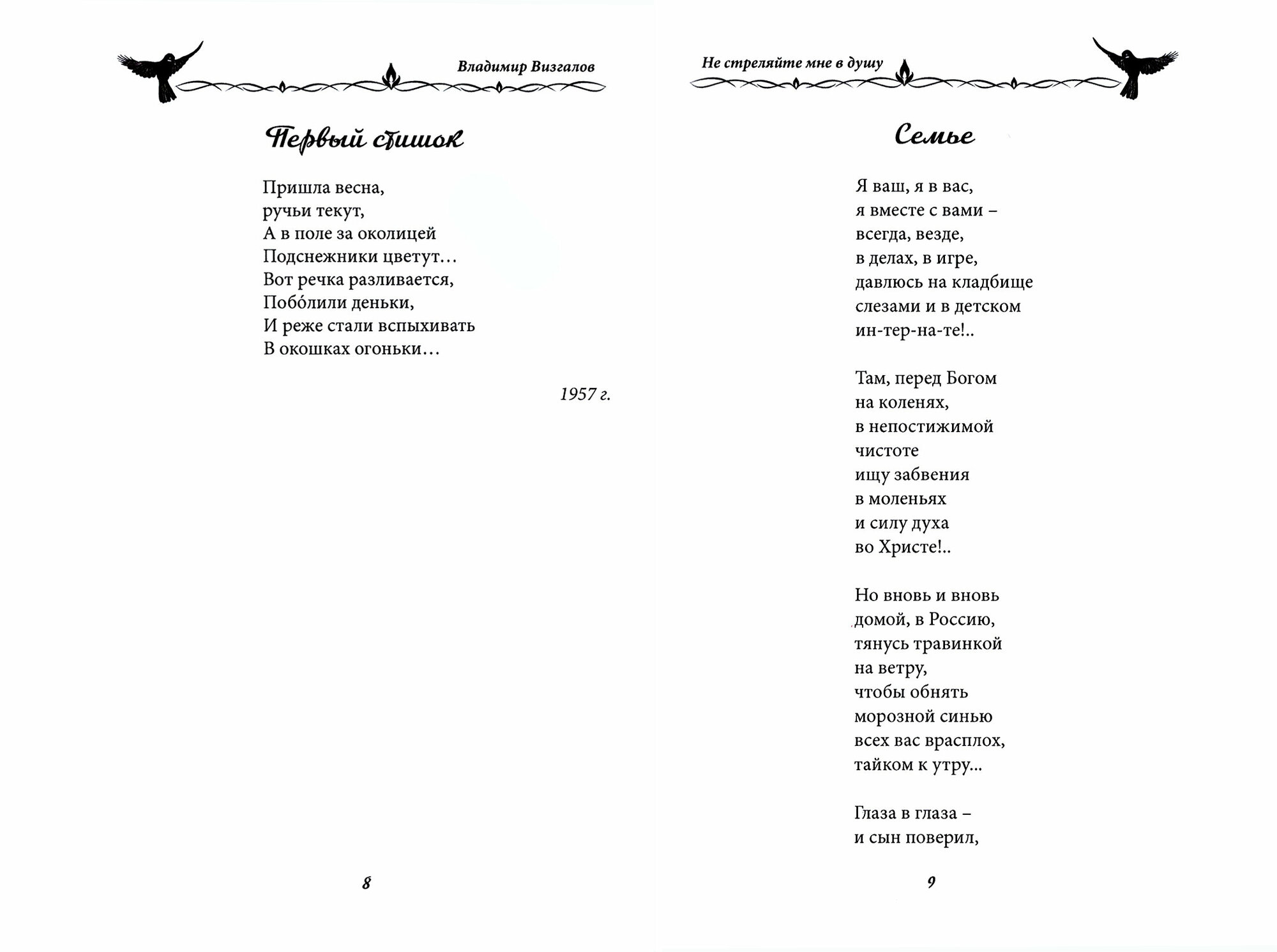 Не стреляйте мне в душу (Визгалов Владимир Иванович) - фото №2