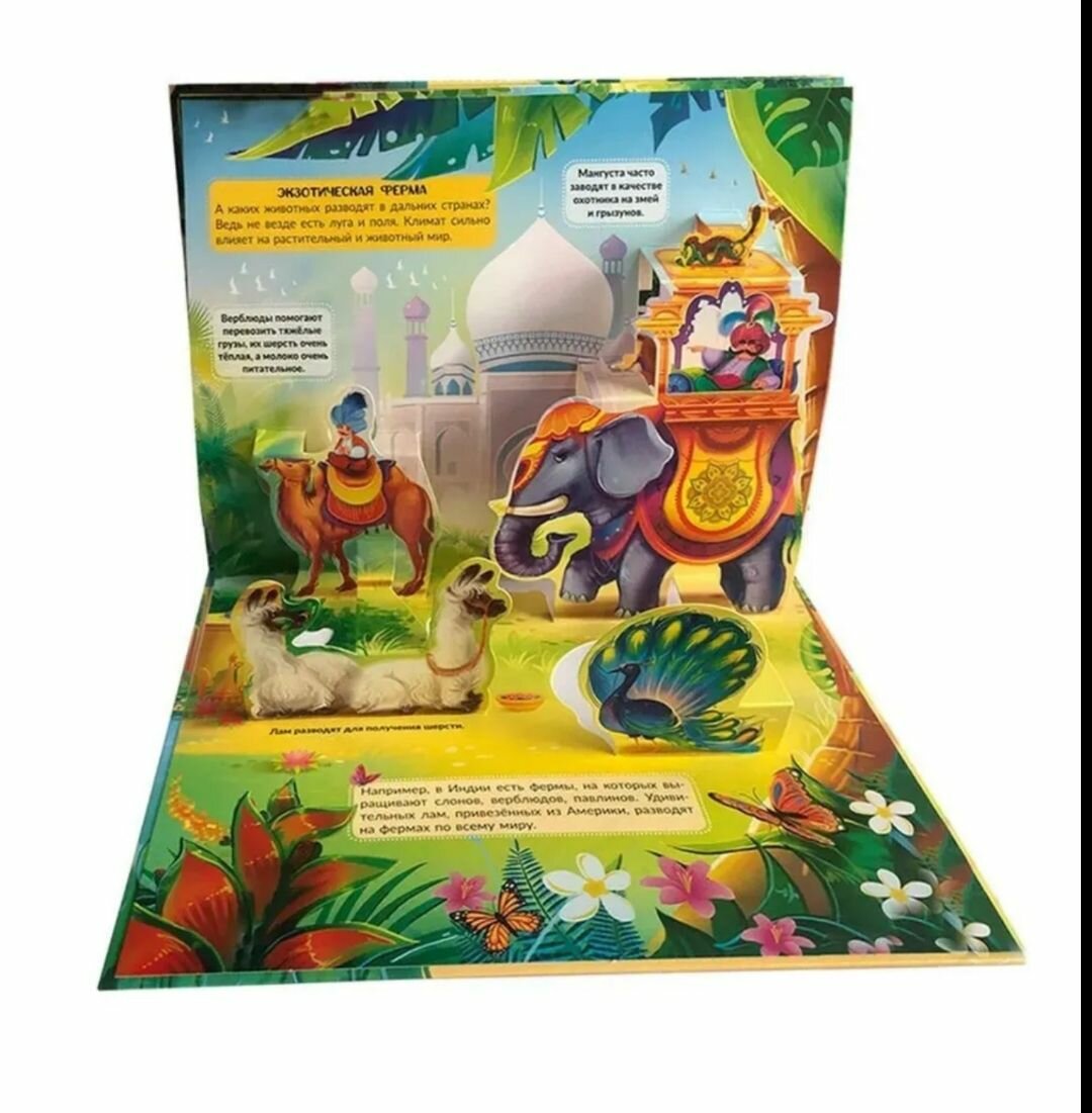 Энциклопедия с объемными элементами POP UP Ферма — фото 1