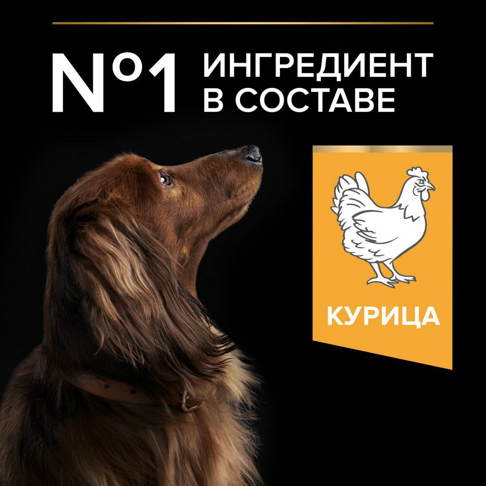Сухой корм PRO PLAN для взрослых собак мелких и карликовых пород, с высоким содержанием курицы, EVERYDAY NUTRITION, 700г — фото 1