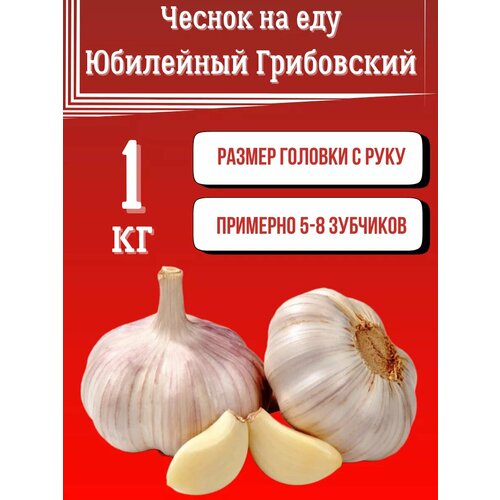 Чеснок для еды Россия 1000₽