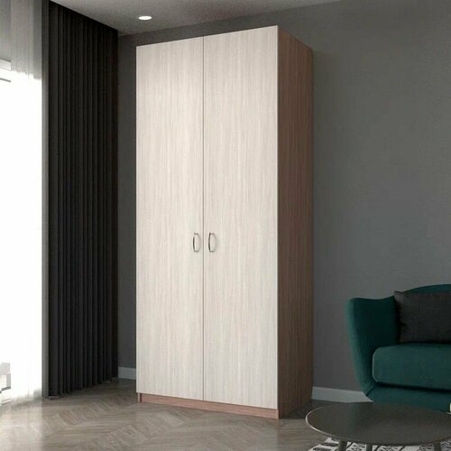 Шкаф распашной двухдверный 230х100х55