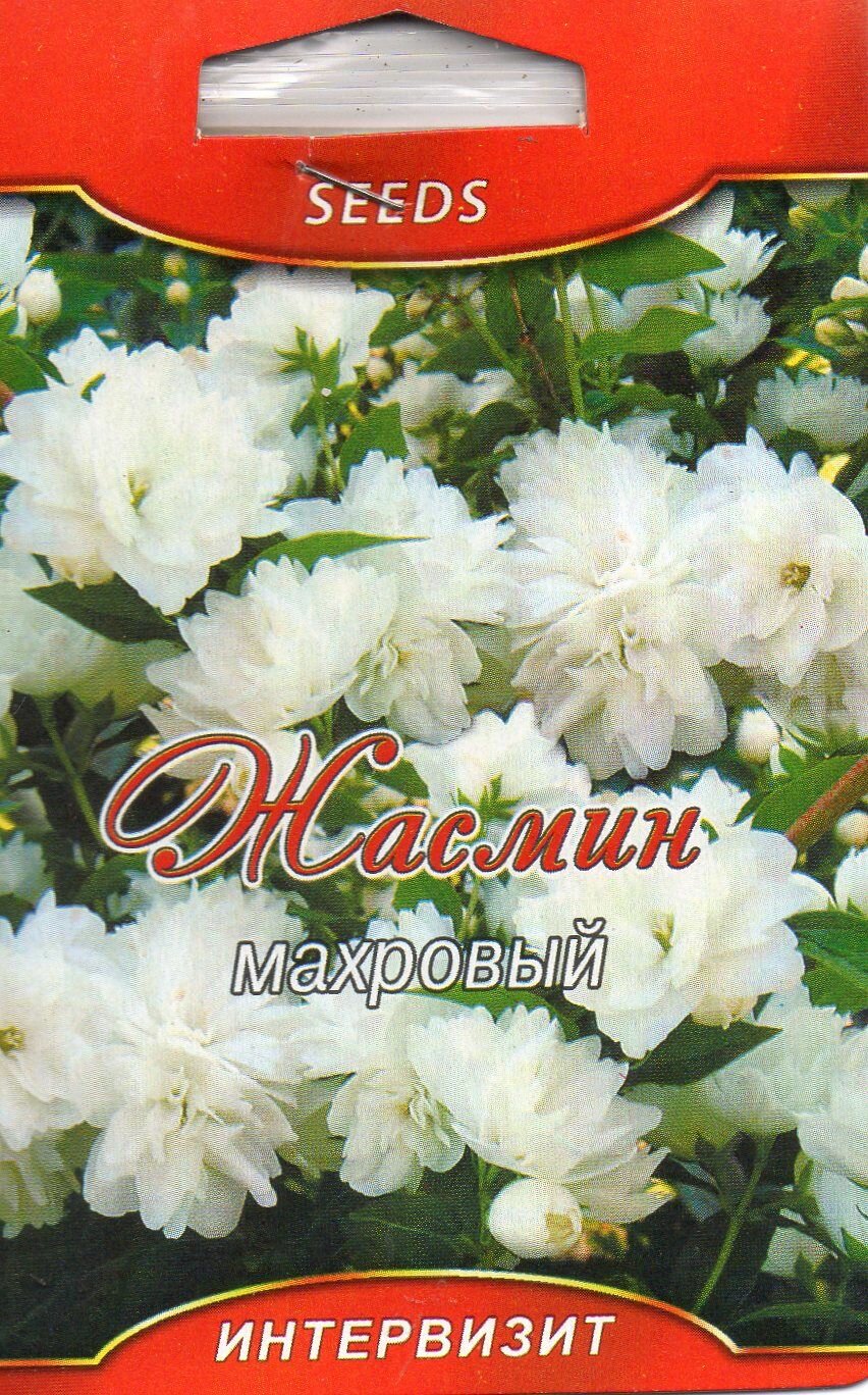 Жасмин махровый (Philadelphos multiflora)семена