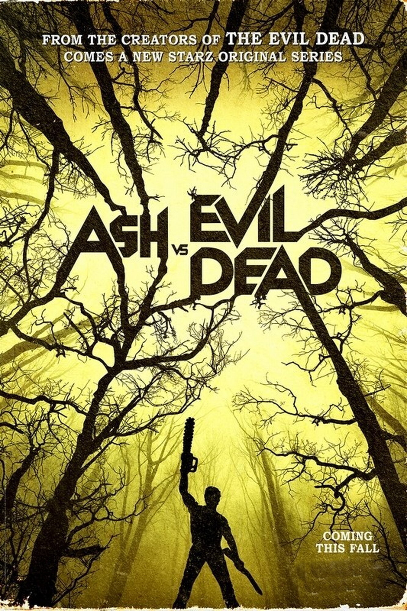 Плакат, постер на бумаге Эш против Зловещих мертвецов (Ash vs Evil Dead), Майкл Херст, Рик Джейкобсон, Сэм Рэйми. Размер 30 х 42 см