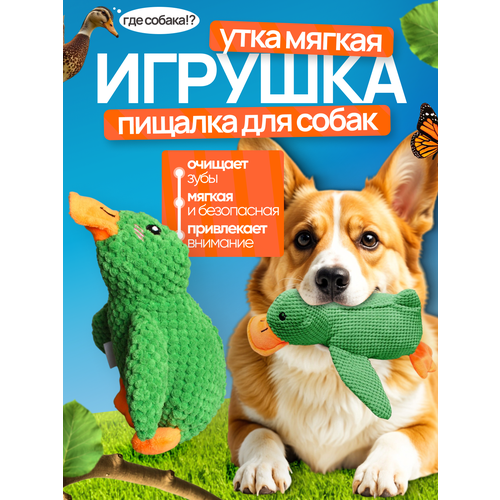 Игрушка для собак Утка, для жевания и укрепления зубов, мягкая с пищалкой, для средних и маленьких пород, зеленая