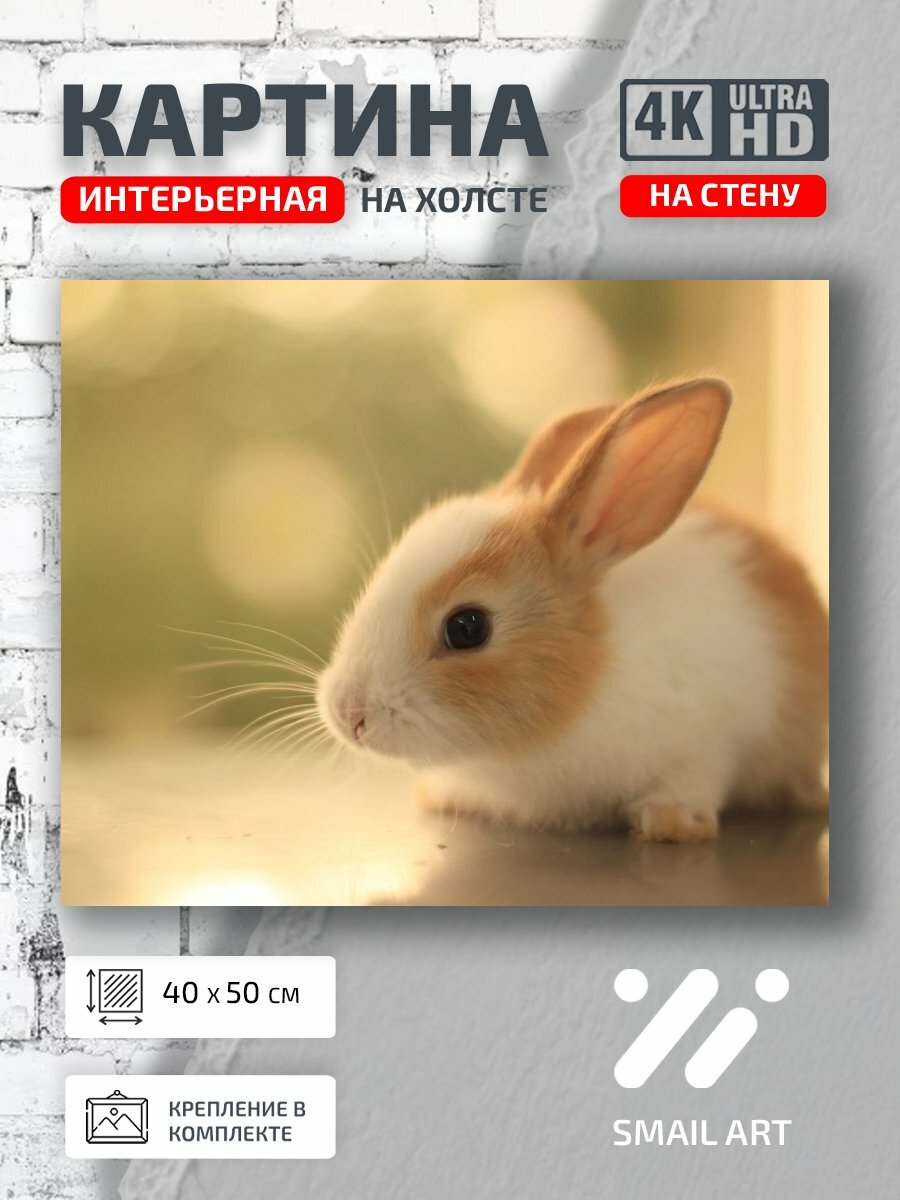 Картина на холсте интерьерная 40 на 50 на стену Кролик Mood для кабинета атмосфера интерьер