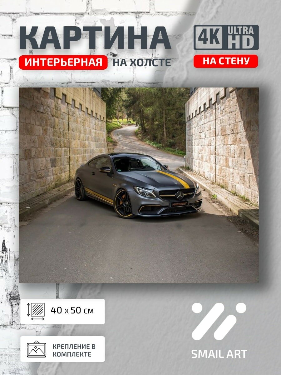 Картина на холсте интерьерная 40 на 50 на стену AMG C205 для офиса атмосфера