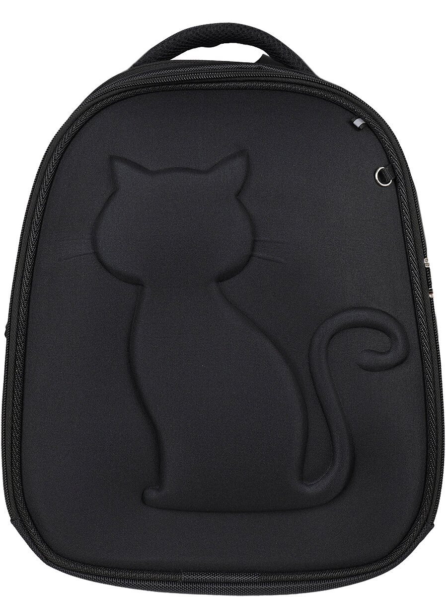 Ранец BagRio BR223/21 - фото №1