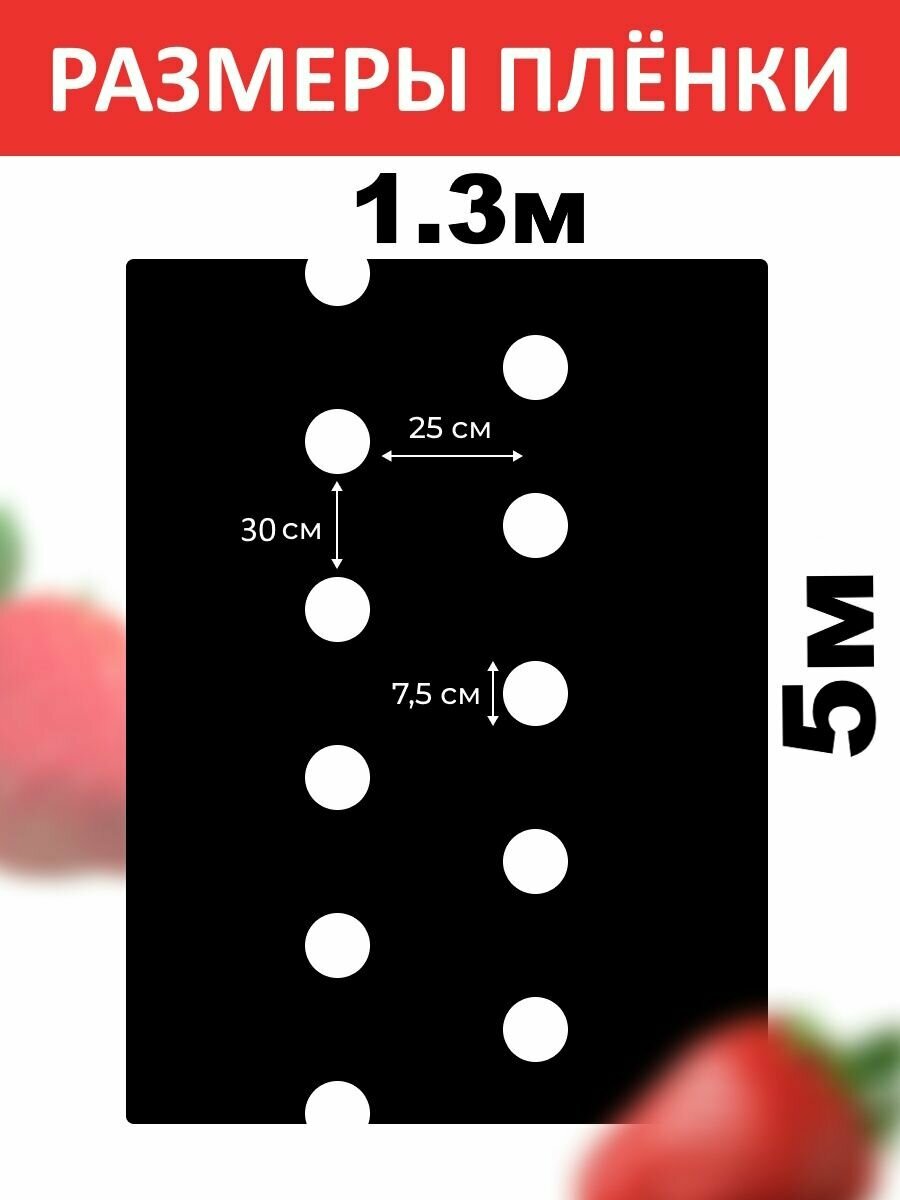 Плёнка для клубники мульчирующая черно-белая 60мкм - фотография № 2