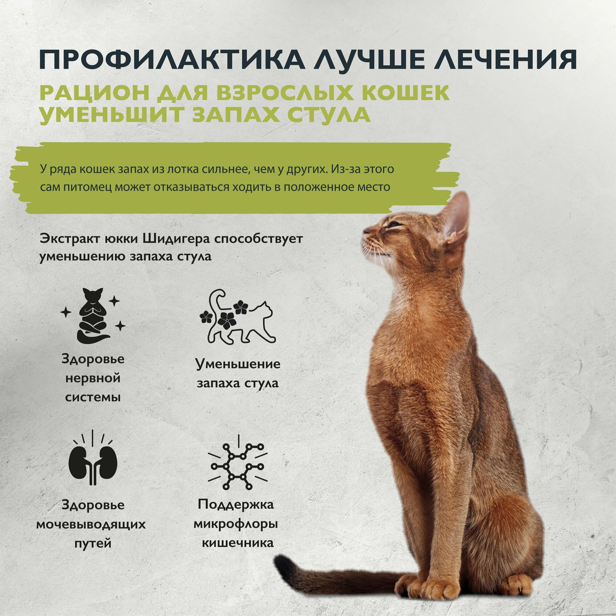 Сухой корм BRIT CARE Cat Indoor Stool Odour Reduction для взрослых кошек с индейкой и лососем 7 кг
