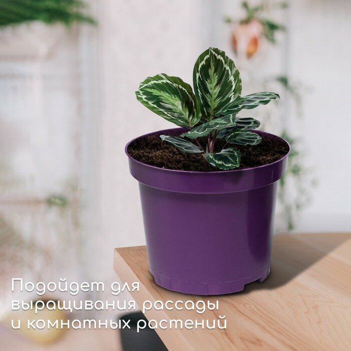 Горшок для рассады 5 л d = 22 h = 18 фиолетовый Greengo