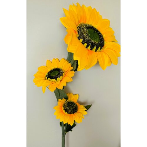 Подсолнух с тремя бутонами, высота 1,15 м, диаметр бутонов 14 см, 18 см и 26 см