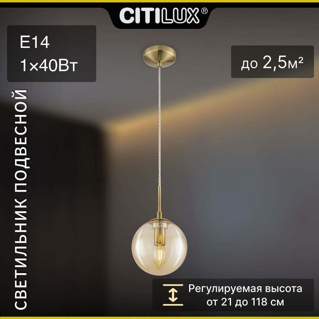 Светильник Citilux Томми CL102010/CL102011/CL102013 E14