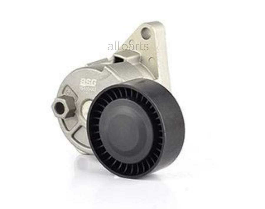 BSG AUTO PARTS BSG15-615-007 Натяжной ролик ремня в сборе