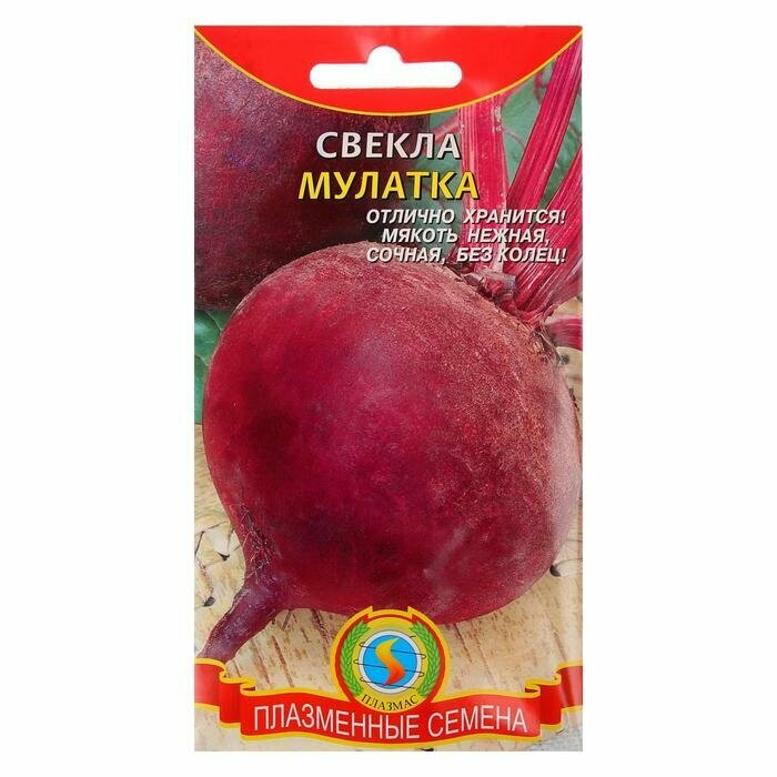 Семена Свекла 