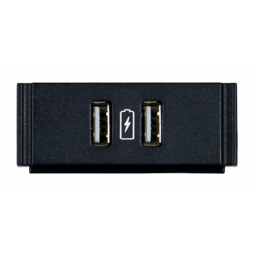 Двойной USB-модуль [FG553-13] AMX [HPX-N102-USB-PC] с печатным символом зарядки обеспечивает двойное USB-подключение к шасси HydraPort