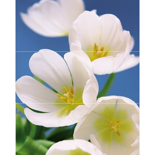 Blue Garden Панно (из 3пл) 75x60