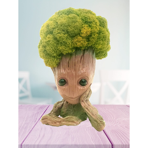 Кашпо Грут со стабилизированным мхом ягель 1956₽