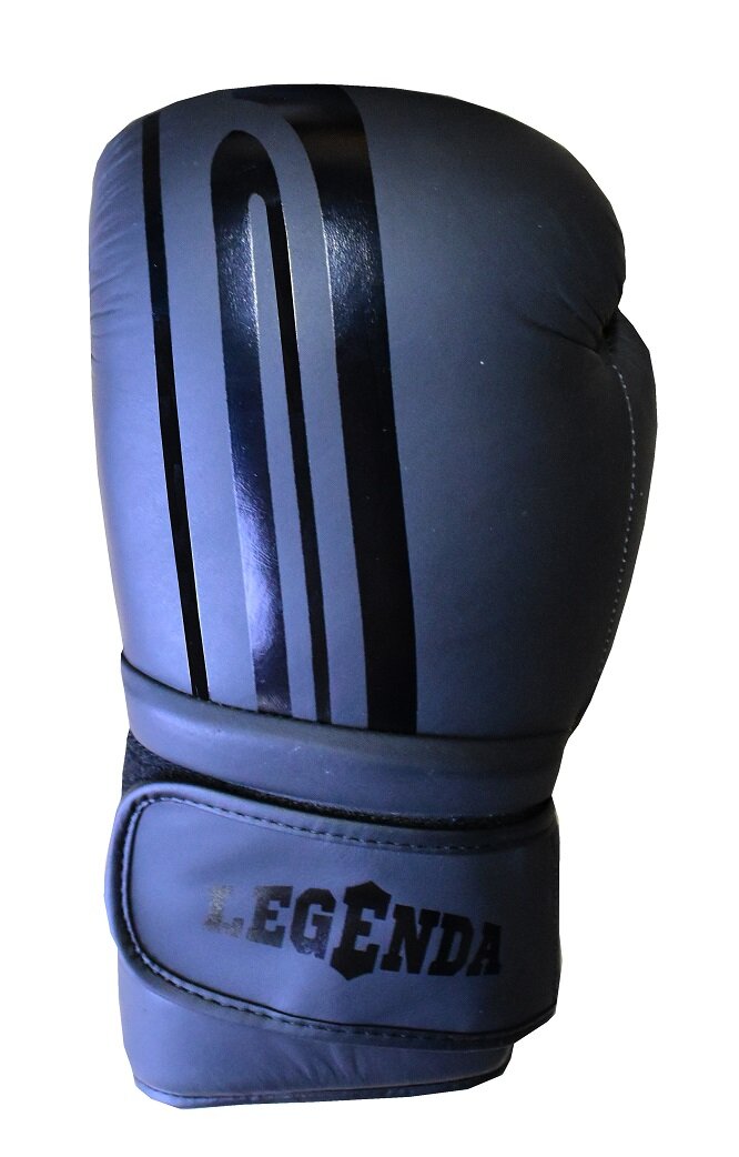 Перчатки для бокса Legenda Elite черные 18 унций