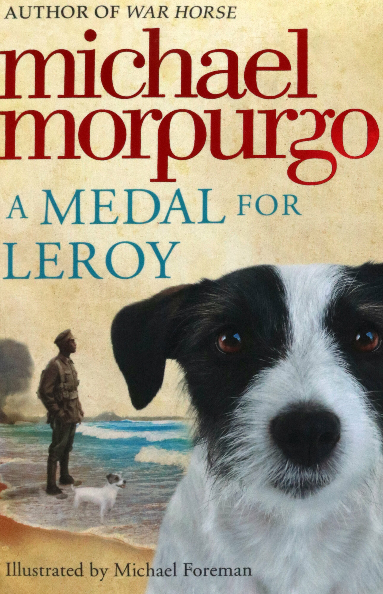 A Medal for Leroy / Morpurgo Michael / Книга на Английском / Морпурго Майкл - фото №1