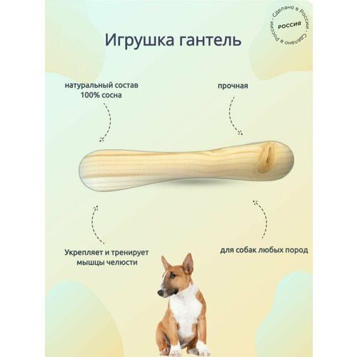 Игрушка гантель деревянная для собак любых пород игрушка для собак japan premium pet в виде утки с хлопковыми канатами для чистки зубов коррекции поведения и снятия стресса у собак для всех пород