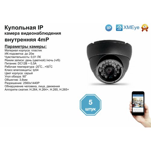 5шт DVS300IP4MP Внутренняя IP камера 4мП с ИК до 20м 1104000₽