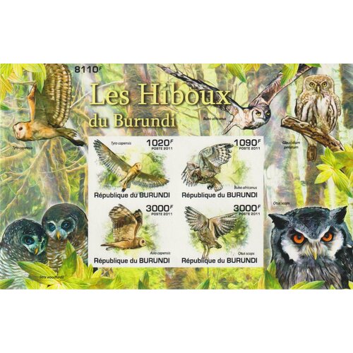 Почтовые марки Бурунди 2011г. Птицы - Совы Совы, Птицы MNH