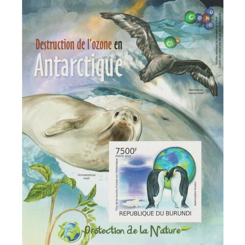 Почтовые марки Бурунди 2012г. Защита природы - разрушение озона в Антарктике Морская фауна, Антарктика MNH