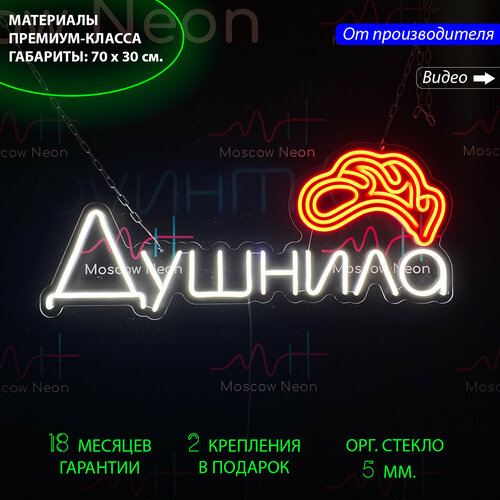 Светильник декоративный/ Неоновая вывеска, надпись на стену Душнила, 70 х 30 см.