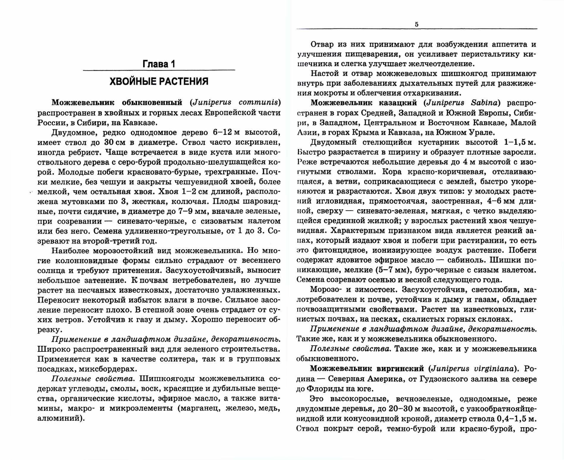 Декоративные и полез.растения в ландшаф.диз.Уч.пос - фото №4