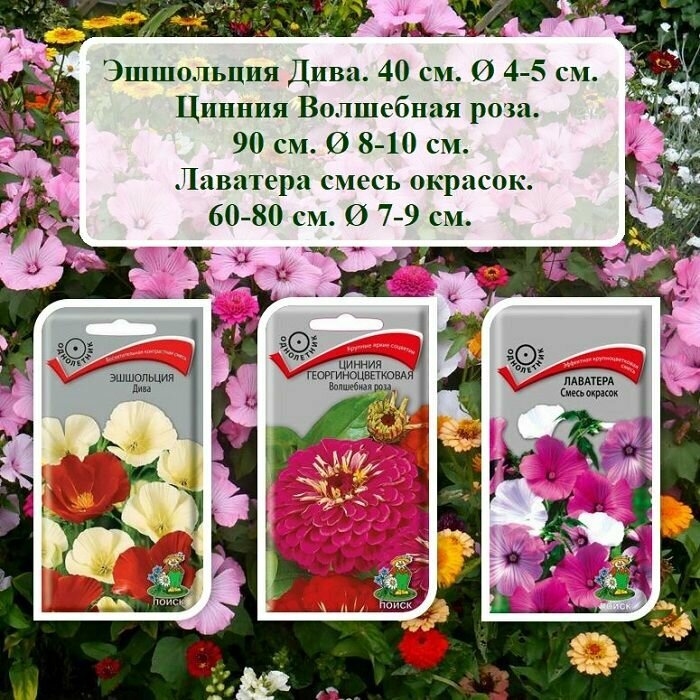 Набор семян цветов из 3х пачек - Эшшольция Дива Цинния Волшебная роза и Лаватера смесь.