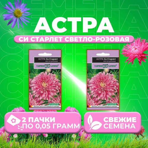 Астра Си Старлет светло-розовая, 0,05г, Гавриш, Satimex (2 уп)