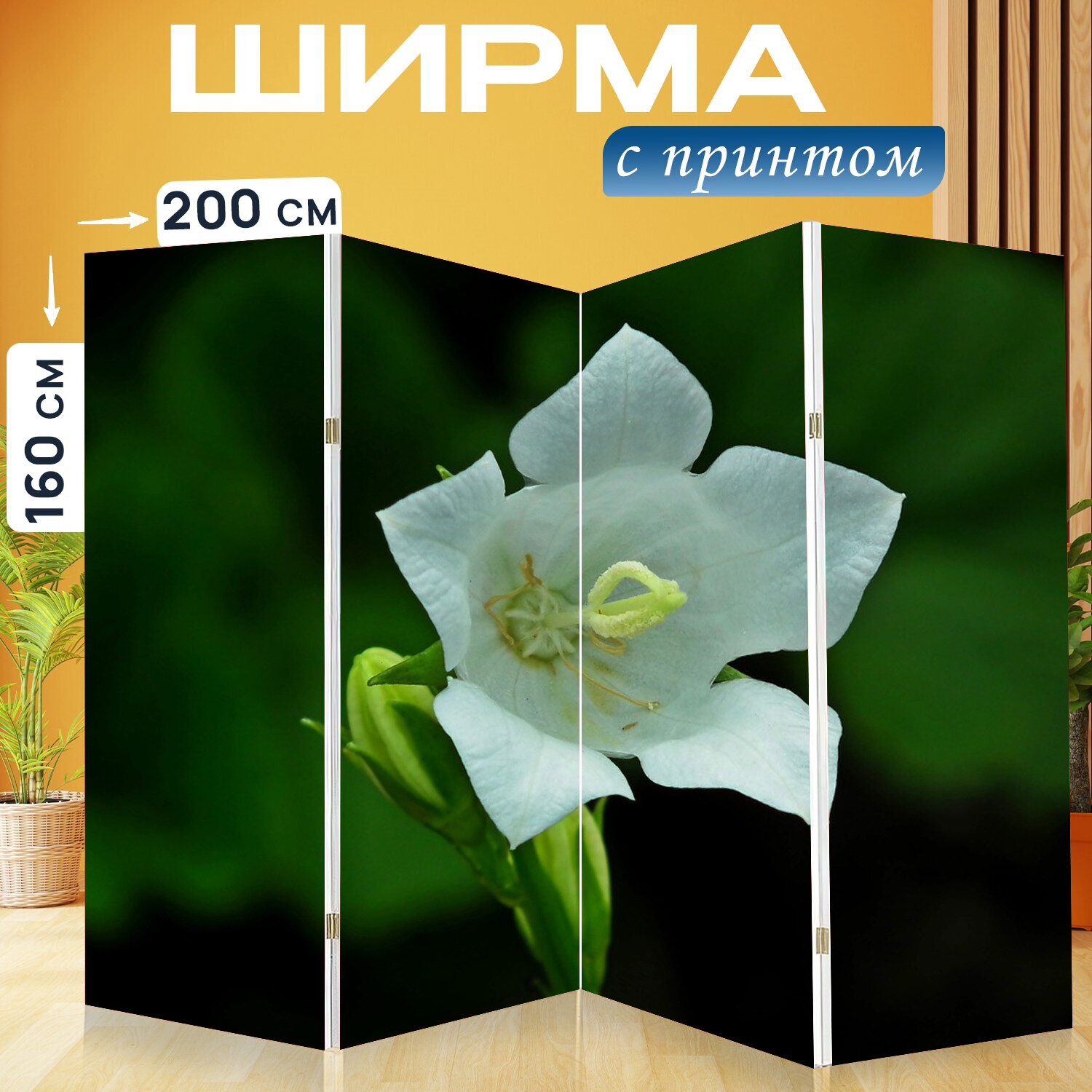 Ширма перегородка с принтом "Колокол, карпатский, цветок" на холсте - 200x160 см. для зонирования, раскладная