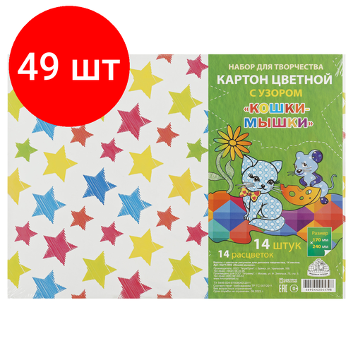 Комплект 49 шт, Картон цветной 170*240, Мировые тетради, 14л, 14цв, 