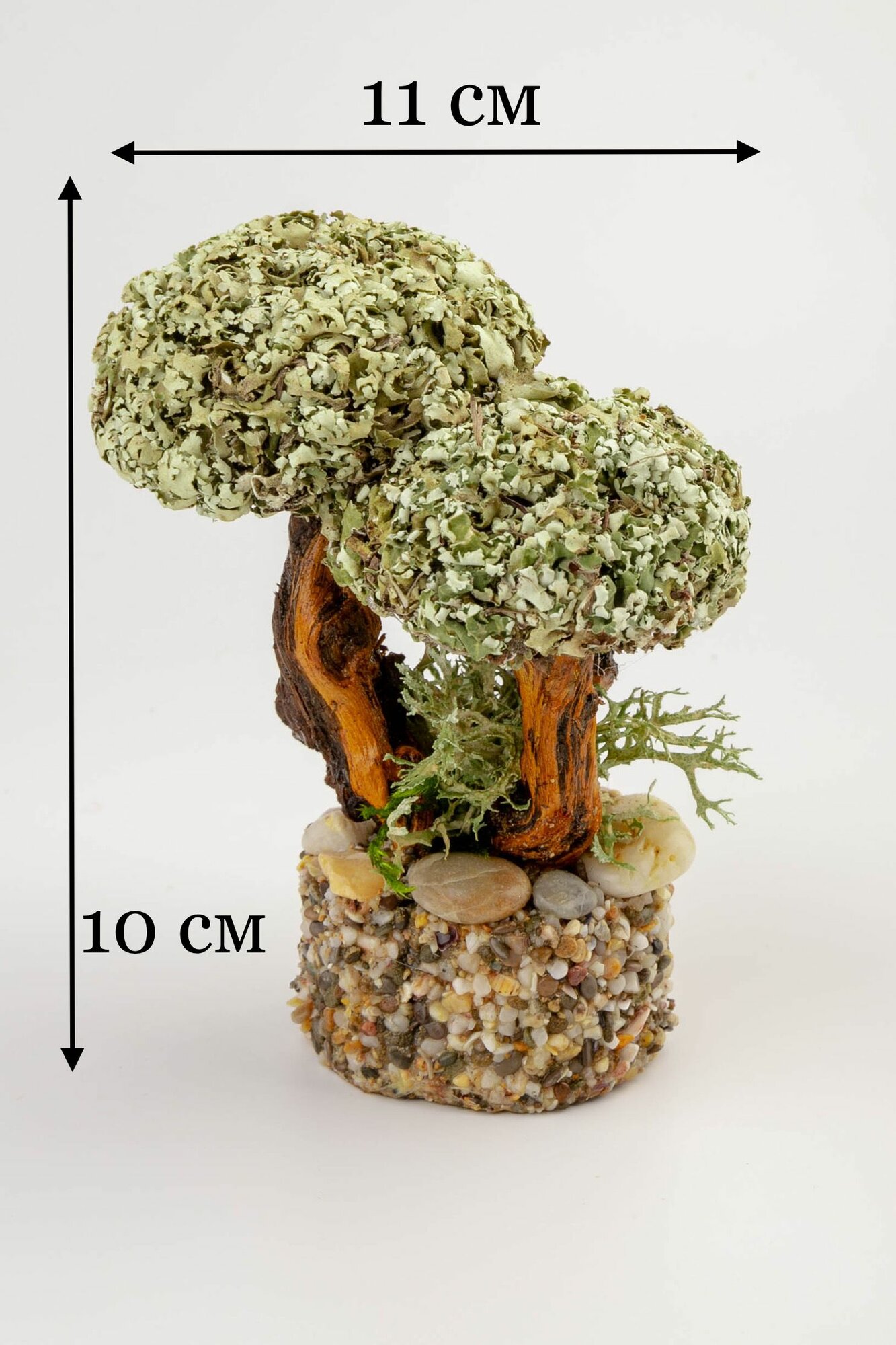 Живое дерево из исландского мха цетрария "Влюбленная пара" 10 см