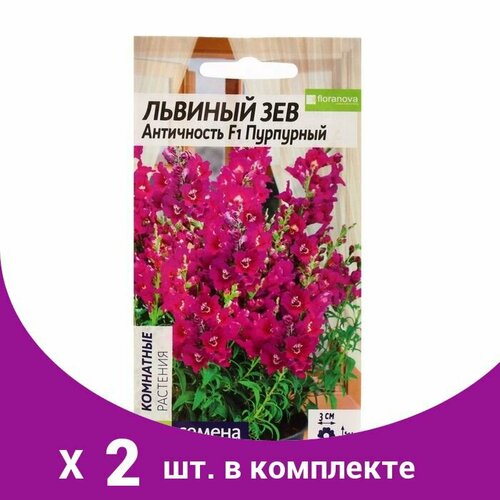 семена цветов львиный зев античность оранж биколор сем алт ц п 10 шт семена алтая Семена цветов Львиный зев 'Античность', пурпурный, Сем. Алт, ц/п, 10 шт (2 шт)